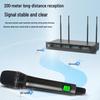 HuiDu U-06 Professional True Diversity Wireless Microphone for Conference and Singing