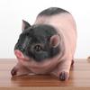 Resin Little Pig Animal Figurines Sculptures Home Decoration Lawn Garden Patio Ornaments