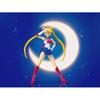 TAMASHII NATIONS S.H.Figuarts Pretty Guardian Sailor Moon -Animation Color Edition- Approx. 140mm AB