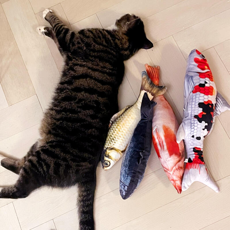 Fish Cat Catnip Toy 20cm (Koi)