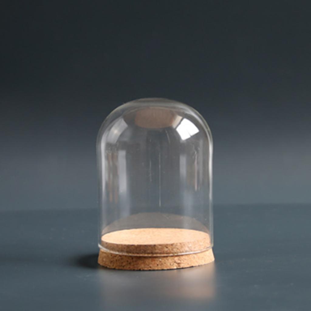 Sada 2 Mini Sklenených Klenbových Zvonov s Korkovou Podstavou Sklenené Zvončeky Nádoba Teráriá Vystavovacie Fľaše na Skladovanie Kvetov Umelecká Expozícia