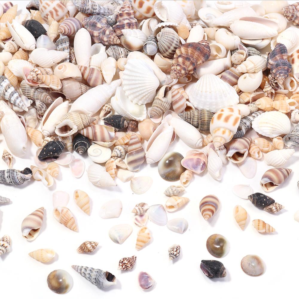 40g/bag Sea Shell Beads Tiny Conch Beads Undrilled Natural Shell Beads For Jewelry Making DIY Crafts Ornament Home Decoration