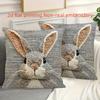 Easter Bunny Pillow Cover Faux Embroidery 2D Print Soft Cozy For Sofa Bed Living Room Spring Farmhouse Decor Cute Rabbit Gifts
