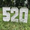 1Pc 73cm Light Up Digital Marquee Frame With White Lights LED KT Board Number 0-9 Plug-in KT Board With Bracket Party Decor Birthday Party Decoration