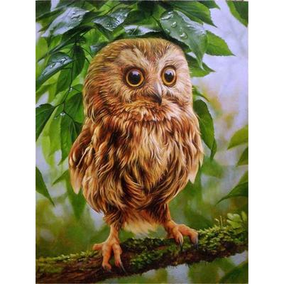 Pittura con Diamanti 5D Fai da Te Animale Gufo Ricamo con Diamanti Punto Croce Decorazione per la Casa Regalo Fatto a Mano