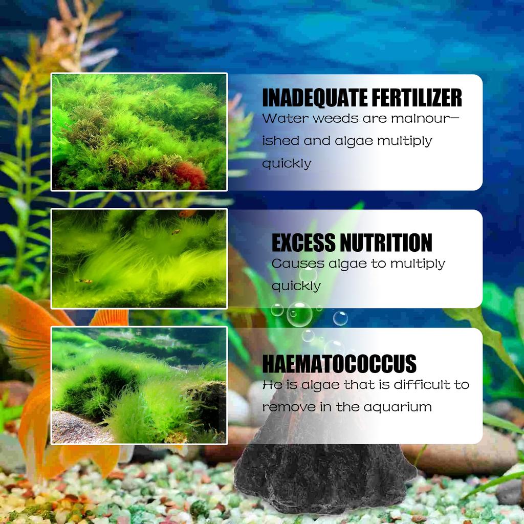 Algae and Moss Remover Aquarium Cleaning and Algae Removal Agent, Fish Tank Moss Remover, Green Water Remover, Algae Remover
