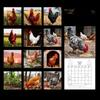 BIG COCKS 2026 Calendar - Prank Gift - Funny Secret Santa Present Xmas Joke