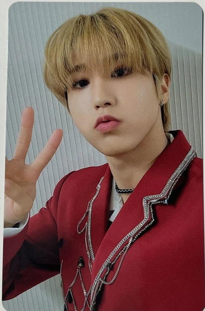 STRAY KIDS MANIAC ENCORE en JAPÓN Blu-ray TOWER RECORDS HMV SONY MUSIC TARJETA FOTOGRÁFICA