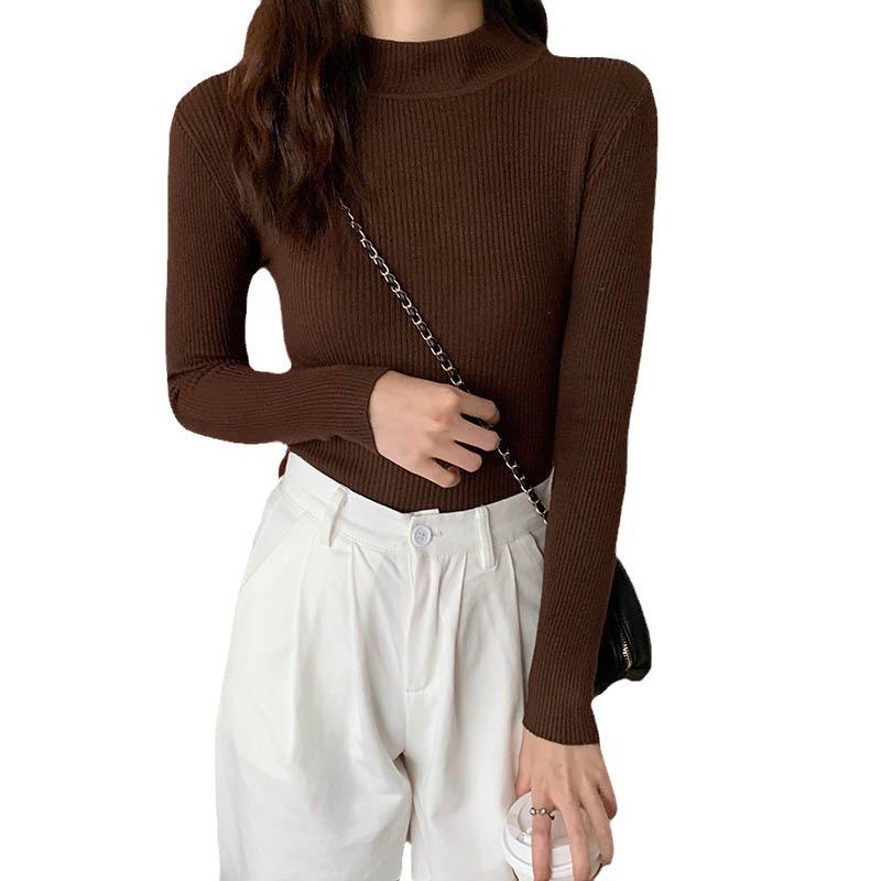 Women's Slim Fit High Neck Sweater: Korean Style, Long Sleeve Knit Top for Autumn/Winter 2024