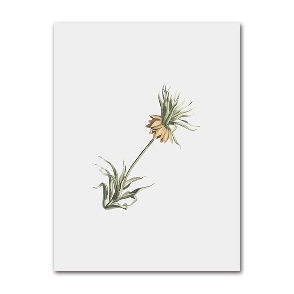 Vintage Wildpflanzen Poster Botanische Blumendrucke Leinwandmalerei Moderne Wandkunst Bilder für Wohnzimmer Dekoration