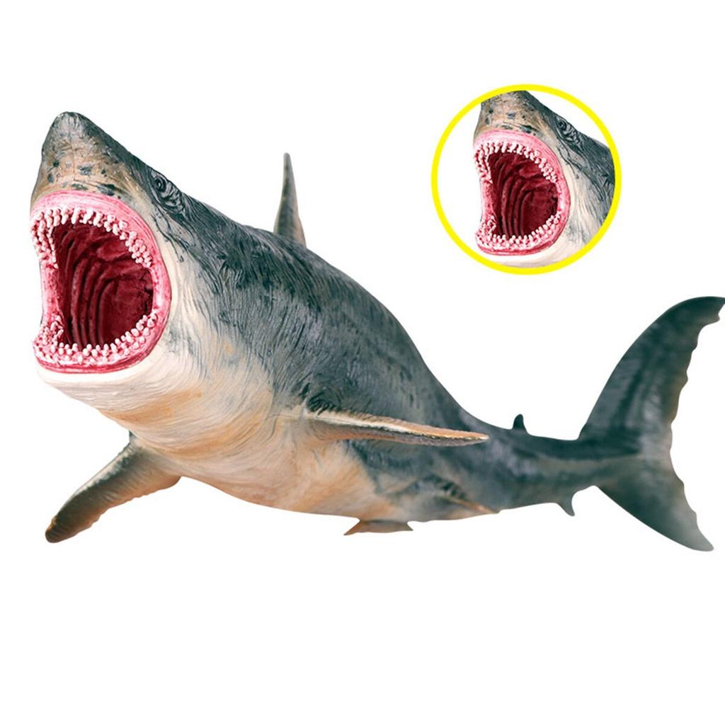 Authentic Megalodon Figure Ancient Shark Wild Animal Pvc Model For Decor And Gifting
