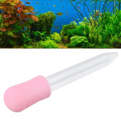 Fische & Meerestiere – Aquarienpflege