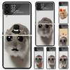 Lustiges trauriges Hamster-Meme Harte PC-Handyhülle Für Samsung Galaxy Z Flip 7 6 5 4 3 Schwarz ZFlip7 ZFlip6 Flip5 Flip4 Flip3 5G Druck Hülle