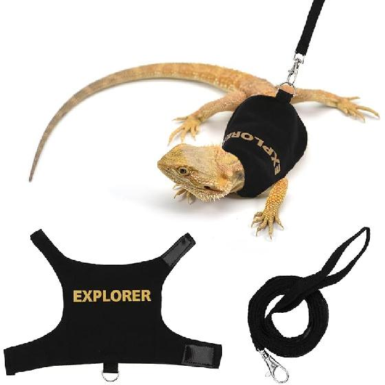 Hypeety Bearded Dragon Harness and Leash Set Adjustable Escape Proof Leash Outdoor Walking Training Leash and Harness for Bearded Dragon Lizard explorer