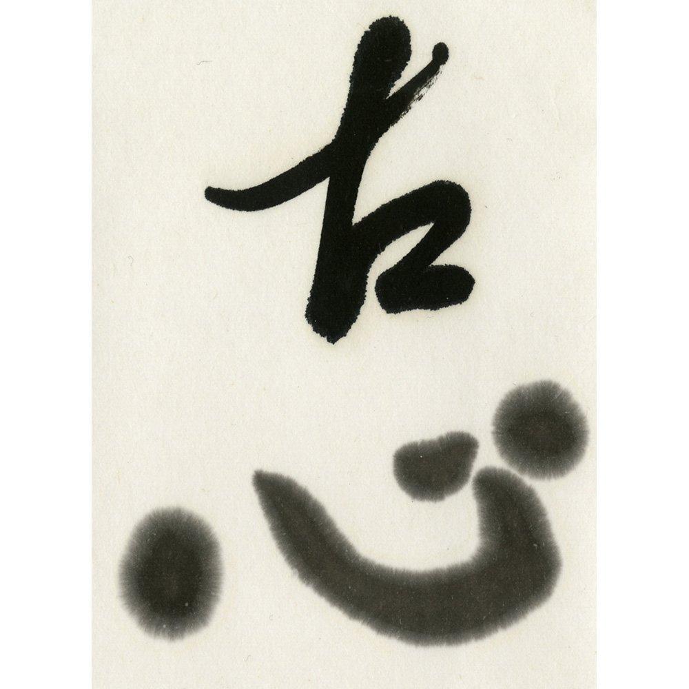 Kuretake India ink Koshin 500ml BB10-50