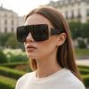 Futuristic Large Frame Sunglasses Internet-Famous Fashion Street Style Shield Thick-Rim Sunglasses  90165