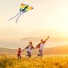 AUPETEK Kite Stable and Flies Even in Light Suitable for Adults and Colorful Delta Butterfly 50M Kite Storage and Japanese Instructions - Durable,