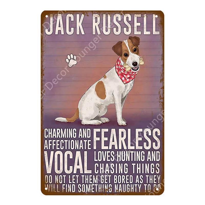 Animal Dog Cat Vintage Metal Poster Home Decor Retro Tin Sign For Pub Bar Club Decorative Plate Poodle Wall Plaque