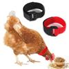 2PCS Quiet Morning Pet Supplies Poultry Neck Noise Free Neckband Collars No Crow Rooster Collar Chicken Collar Anti-Hook