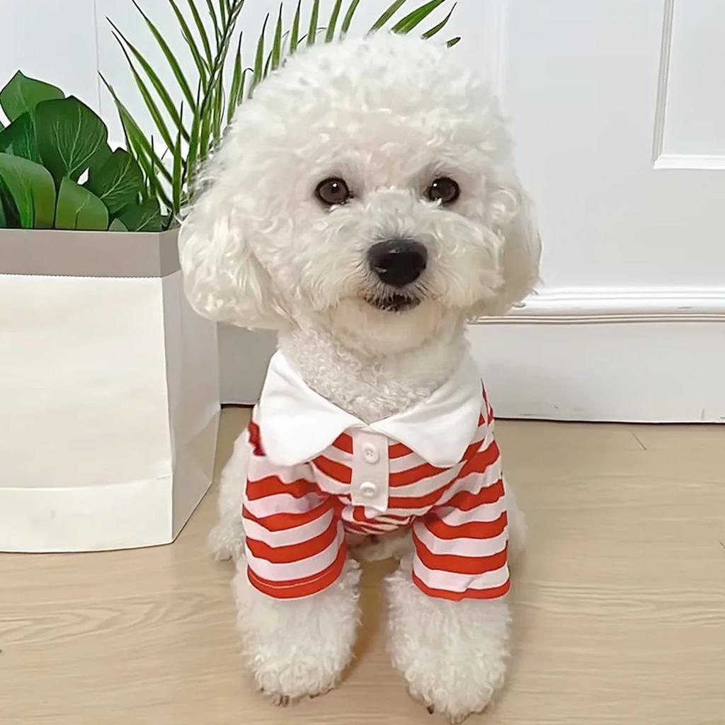 Dog Clothes Teddy York Shire Polo Shirt Summer Dress Striped Pet T-Shirt Dog Costume Soft Pullover Suit for Dog Puppy