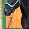 Braided Horse Rope Horse  Ing Rope Braid Horse with Brass Snap 2.0M   2.5M   3.0M