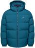 Зимняя водоотталкивающая пуховая куртка Tommy Hilfiger (DM0DM19786)