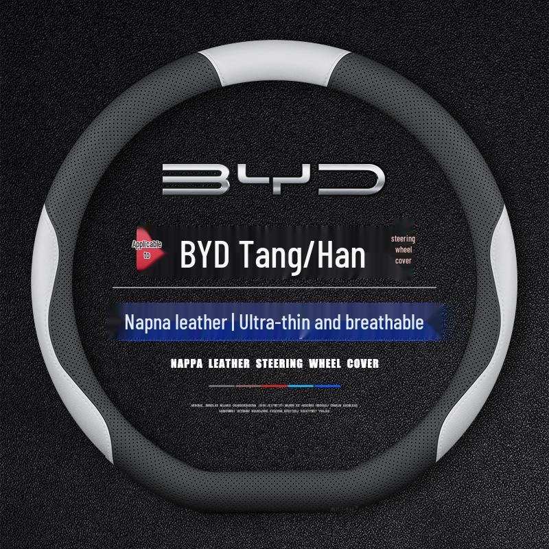 BYD Tang & Han Lenkradabdeckung: Autonome Version