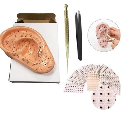 4 In 1 Ear Acupuncture Model Ear Press Seed Ear Probe Set 13cm Ear Auricular Acupoints Model