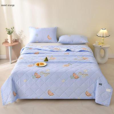 Skin-friendly Velvet Summer Cooling Quilt