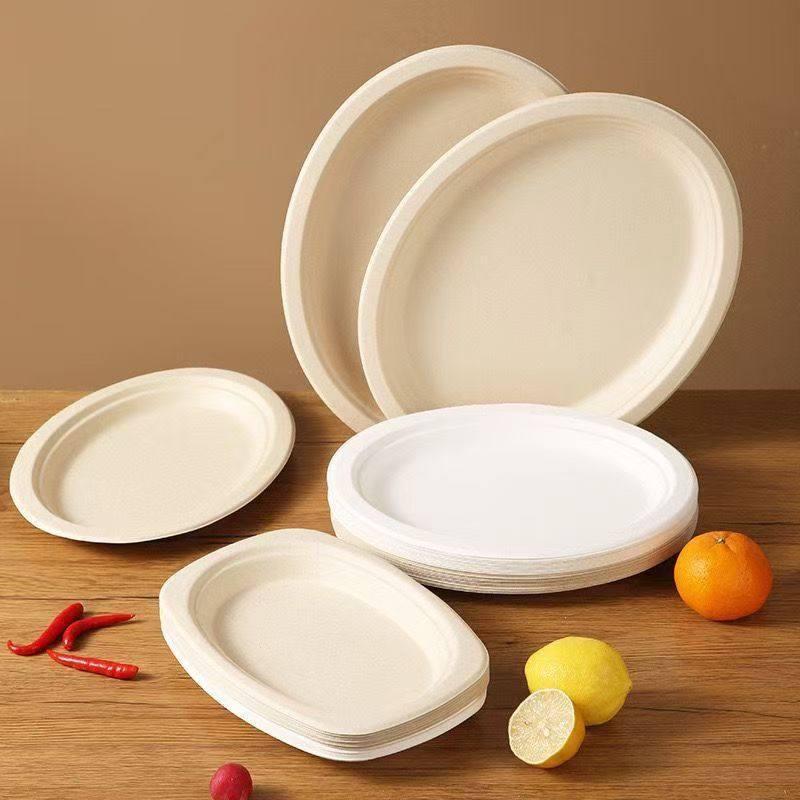 Disposable 10-inch White Paper Plates