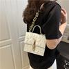 Pleated Popular Texture Autumn New Lock Trend Crossbody Simple Chain Shoulder Portable Small Square Bag