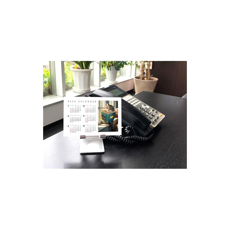 [Bonus Included] Great Fortune and Good Luck 2026 Wall Calendar CL-665 CL26-665