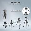 NEEWER BASIC Mini Tabletop Tripod for and Selfie Stick with Compact and Portable for DSLR Cameras and Maximum Load Capacity 2kg Tripod, Cameras, 3-Way