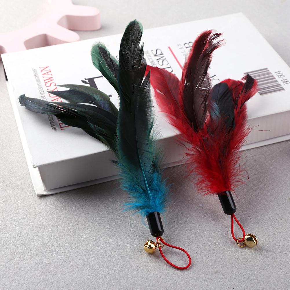 Cat Teaser Wands Interactive Fishing Pole Wand Stick Multi-function Training Toy Replacement Kitten Teaser Feather Cute Cat Toy