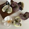 Butterfly Orchid Flower Hair Claw Women Elegant Ponytail Clip Shark Clip Acrylic Temperament Headdress Large Shark Clip Female