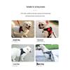 Labrador Dog Leash & Harness - Vest-Style for Medium & Large Dogs