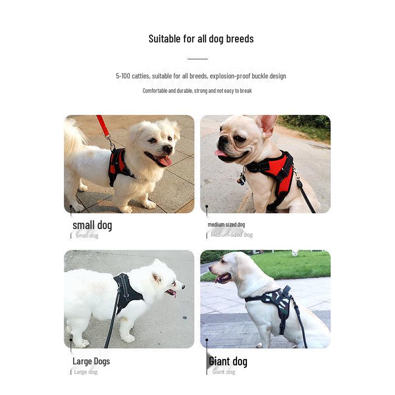 Labrador Dog Leash & Harness - Vest-Style for Medium & Large Dogs