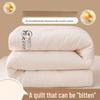 Brangdy All-Season Thick Duvet Quilt