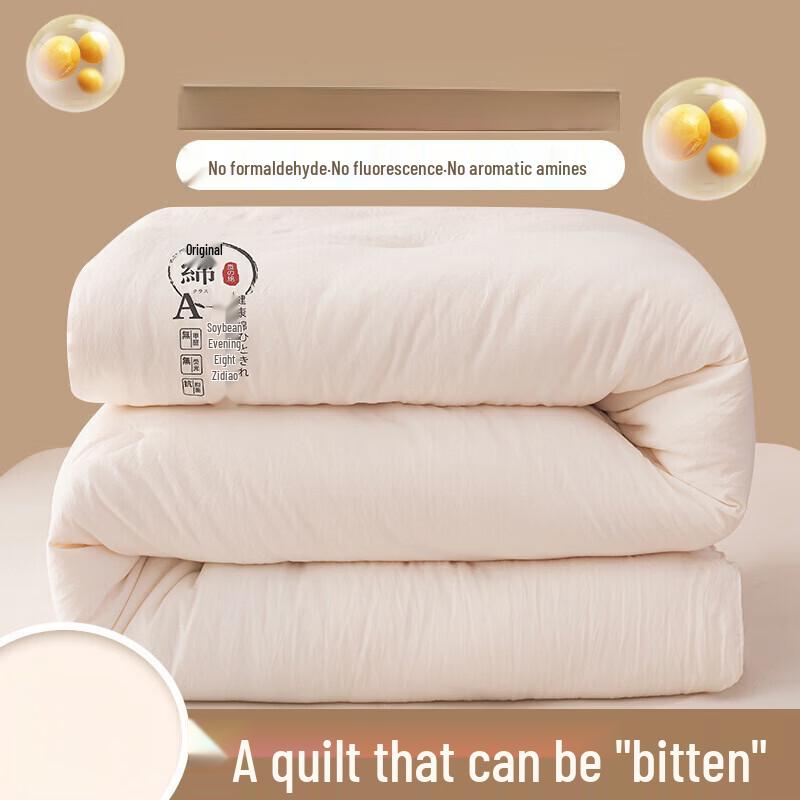 Brangdy All-Season Thick Duvet Quilt