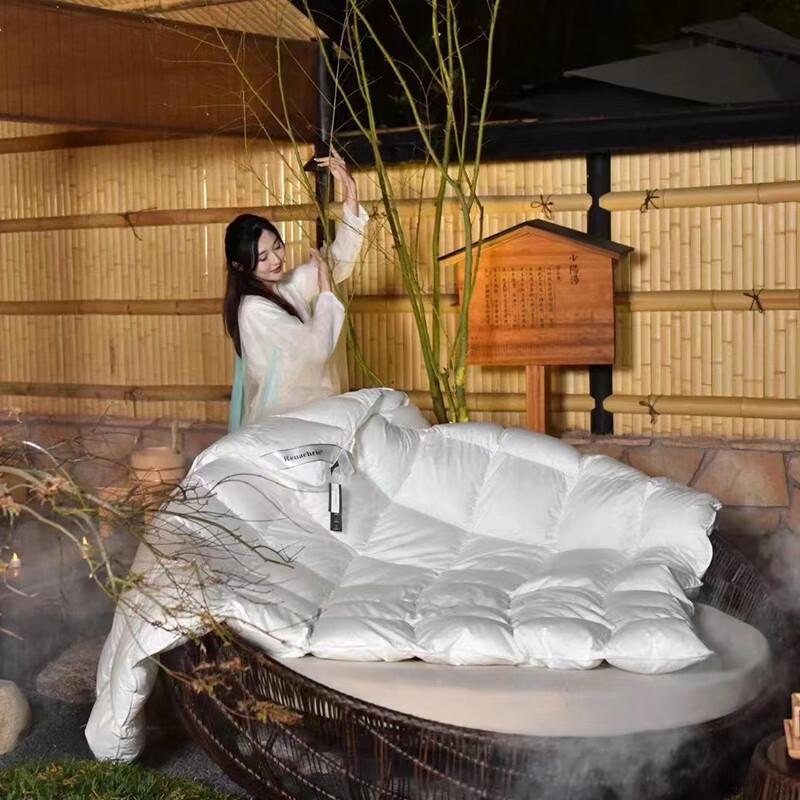 Impression Collection Warm Winter White Goose Down Comforter