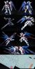 RG Mobile Suit Gundam SEED Freedom Gundam scale plastic model ZGMF-X10A 1/144 color-coded