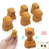 3D Printed Rotating Capybara Decompression Toy - Popular Creative Animal Ornament