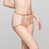 Anlifang Embroidered Mesh Mid-High Waist Briefs