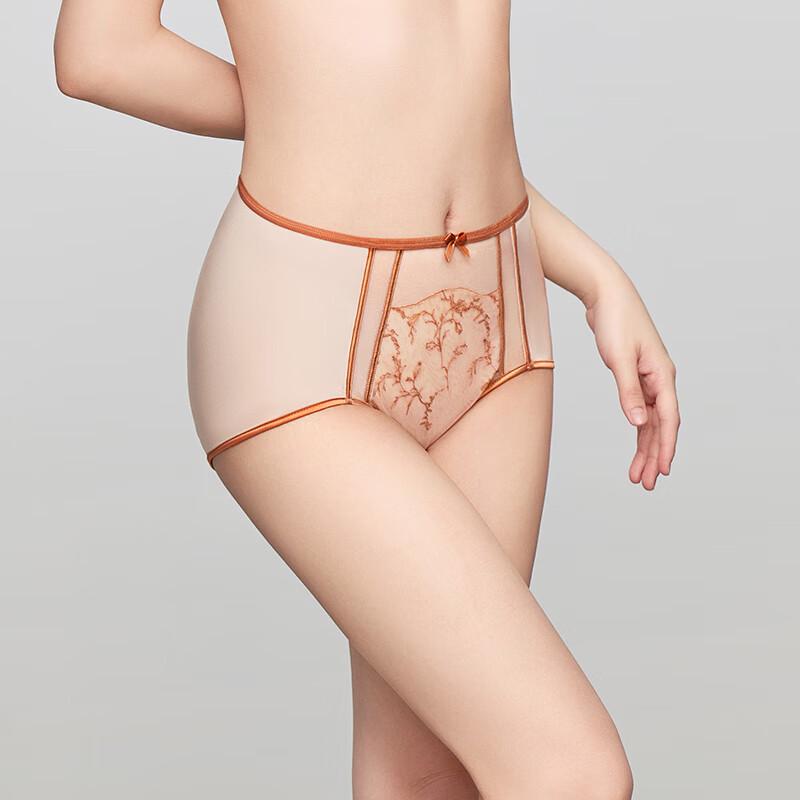 Anlifang Embroidered Mesh Mid-High Waist Briefs