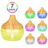 Mini Humidificateur USB Créatif avec Veilleuse Sept Couleurs pour la Purification de l'Air à la Maison