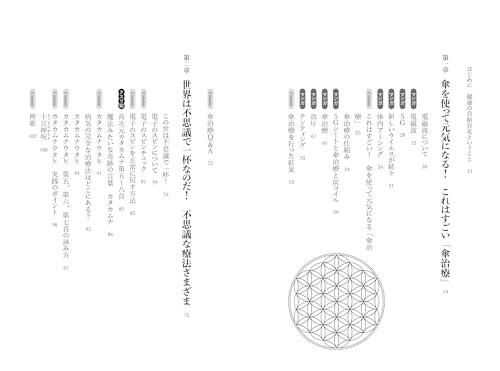 Maruyama's ultimate health method that will cure any ailment: The teachings of "Kusuri-e" that will harmonize your life energy