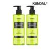 All Day Smell Cover Youth Shampoo Lime Basil & Mandarin 400ml X2