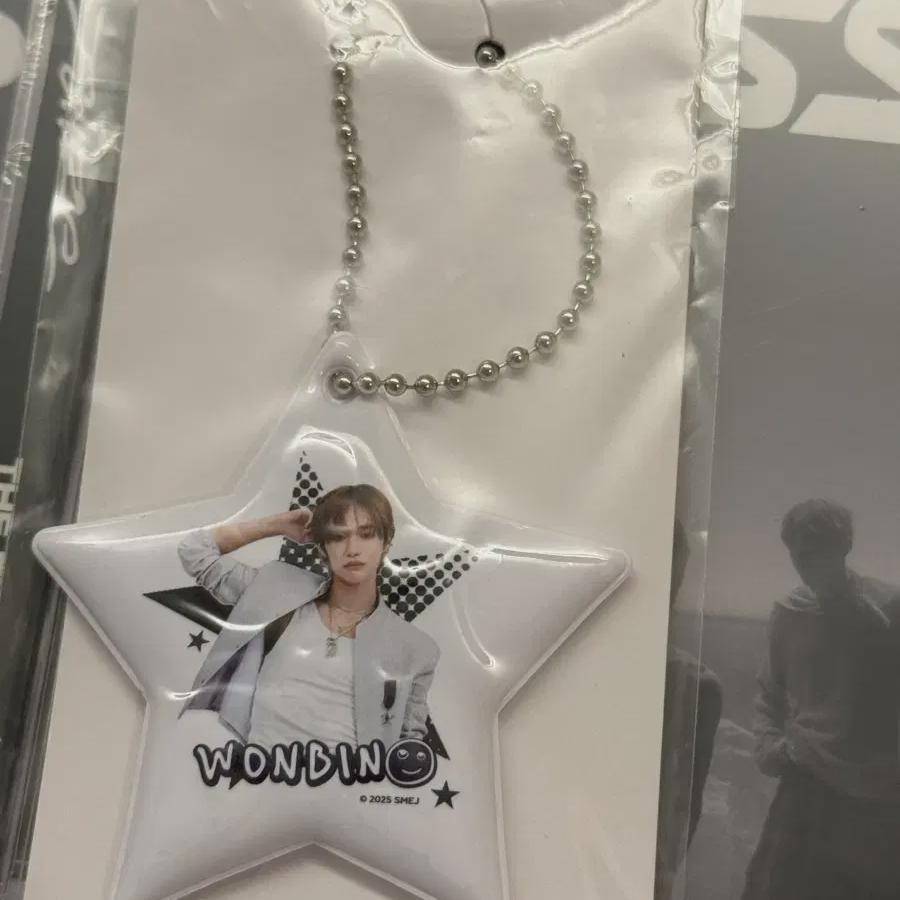 

Riize Japan Concert Md Wonbin Random Toy Pvc Charm