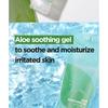 ISNTREE Aloe Soothing Gel Moisture Type Bundle Set