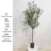 Olive Tree Potted Plant - Indoor Decor Simulation for Living Room